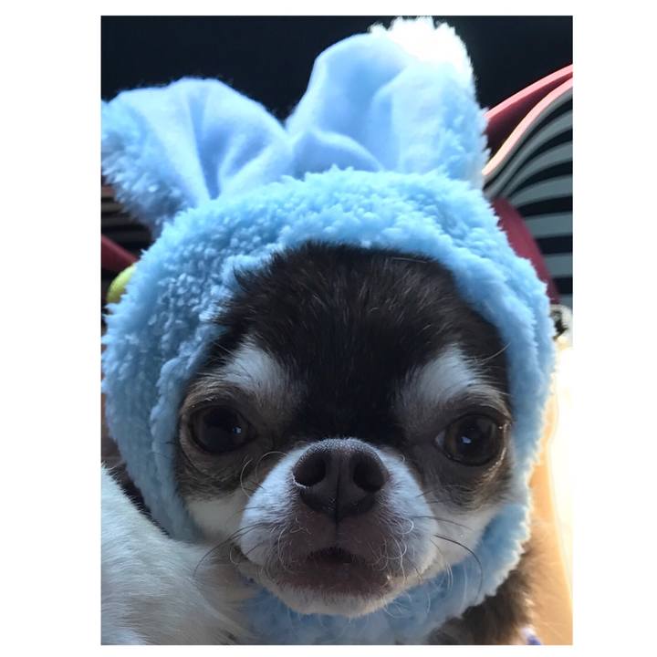 Cdec4efe cea8 44a8 974f 476896669eb6