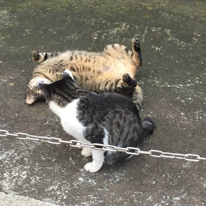 Cdec7aa2 00ac 4ebe 9351 9c81ad78b26b