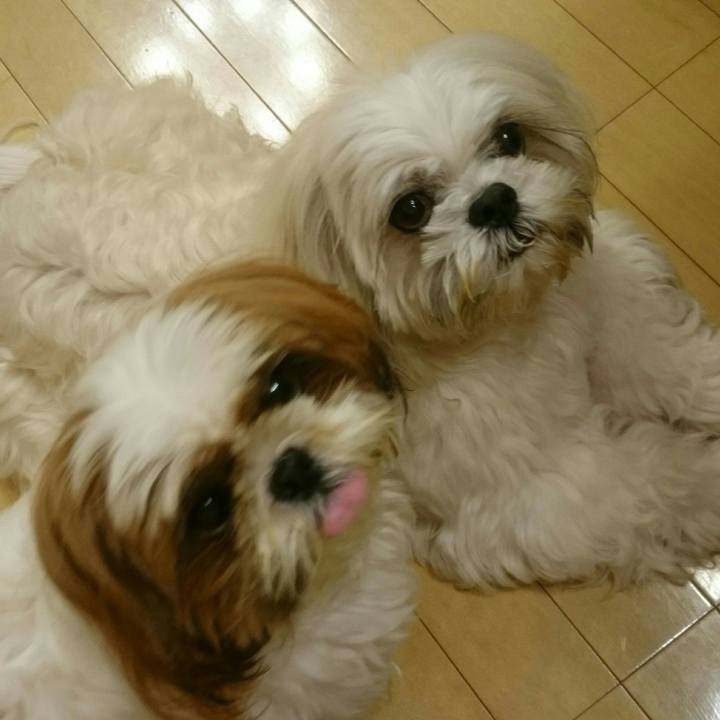 Cdeca2b8 9fe9 4c48 b3ee fe7711734873