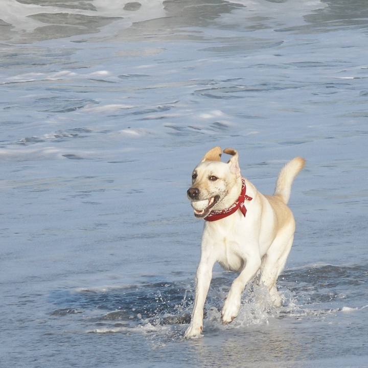 Cdecaf0c d254 45c4 8051 eec63c04c20a