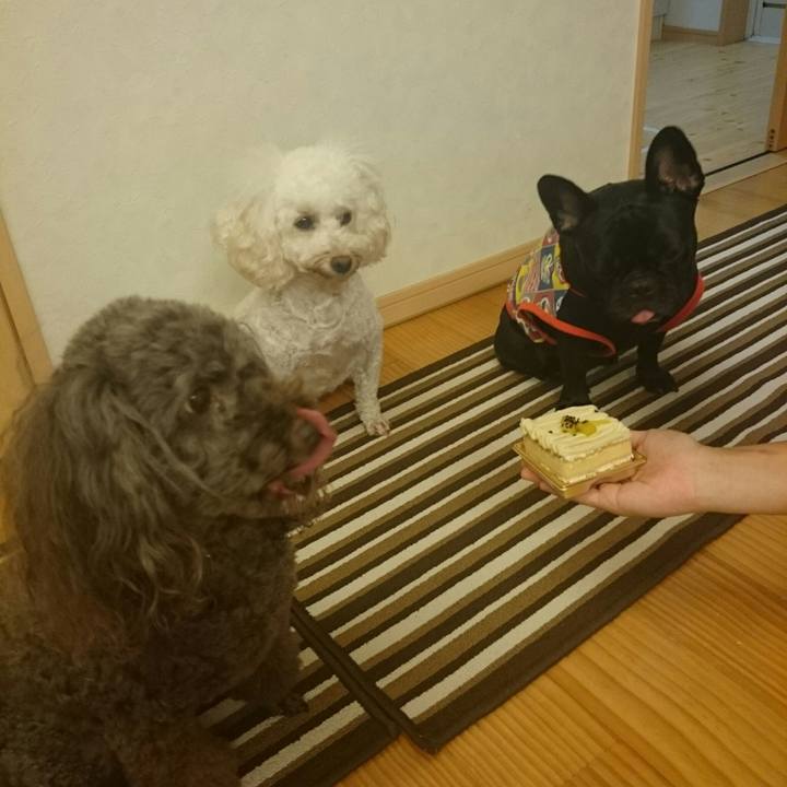 Cded19dc 7918 48e0 ae07 1d61922d6fc9