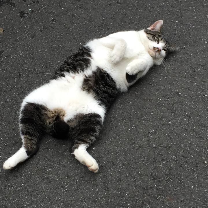 Cded58bf 004e 4817 8fad 0aeeb32323f1