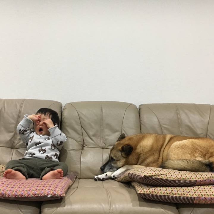 Cded9c8b ca73 48cf ba5f 2b87db2e98f4