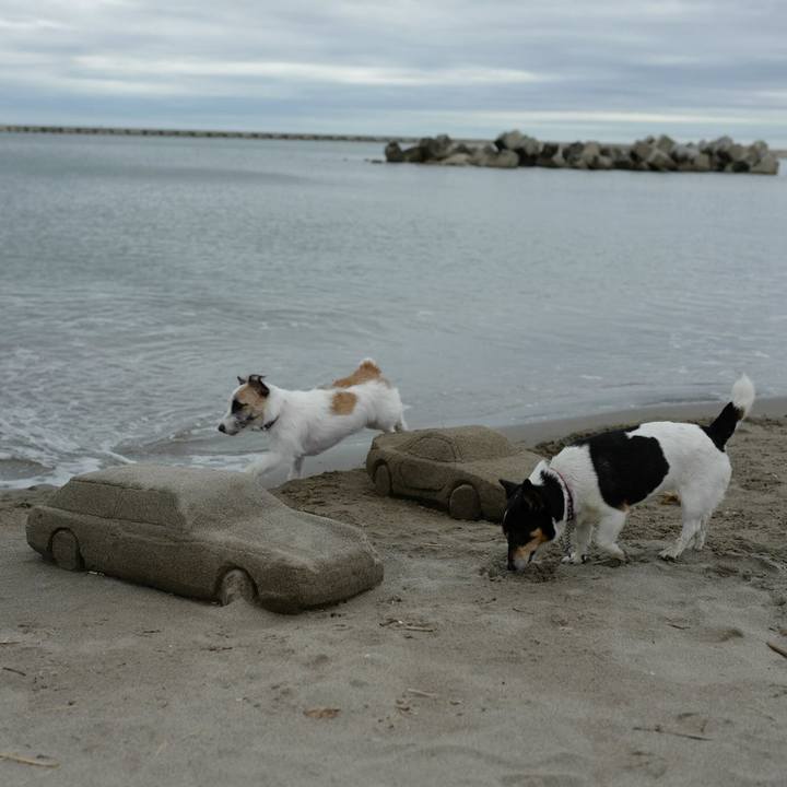 Cdedd7eb 2703 46f7 9a3f 6fca7c8ed0c1