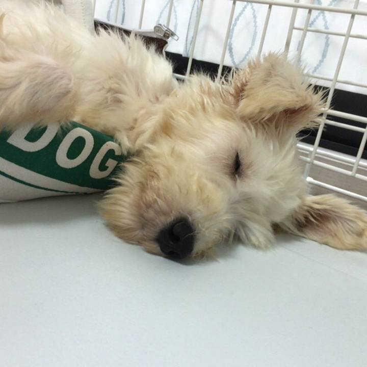 Cdee0802 9005 4c1f 9ff6 a3c20462a192