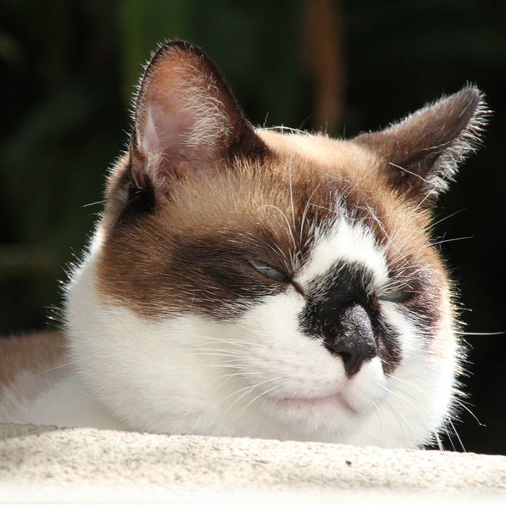 Cdee1ff3 2071 44bb 942d b12465d17616