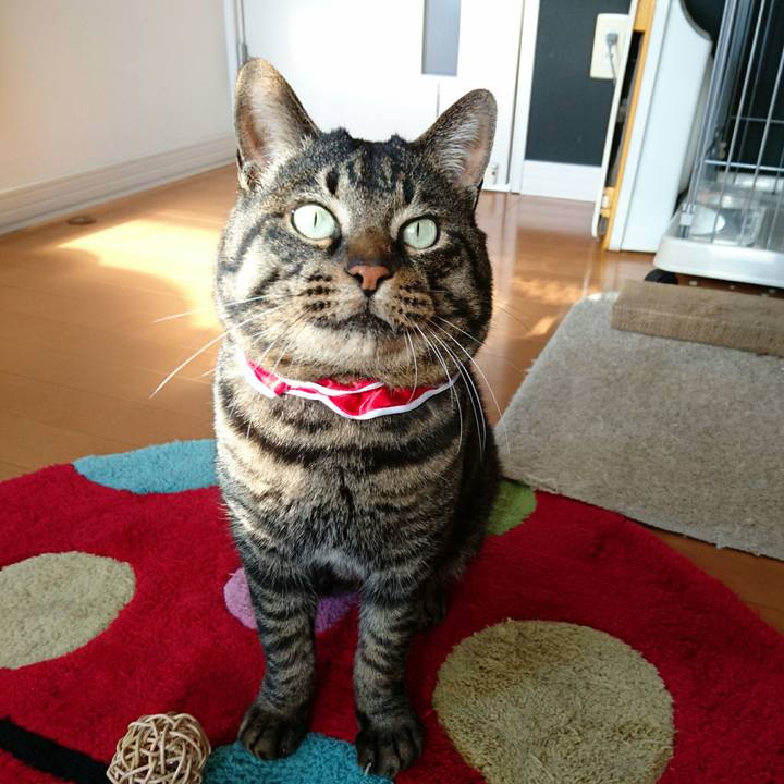 Cdee5505 a961 4df1 bfea 9a809d9a6be7