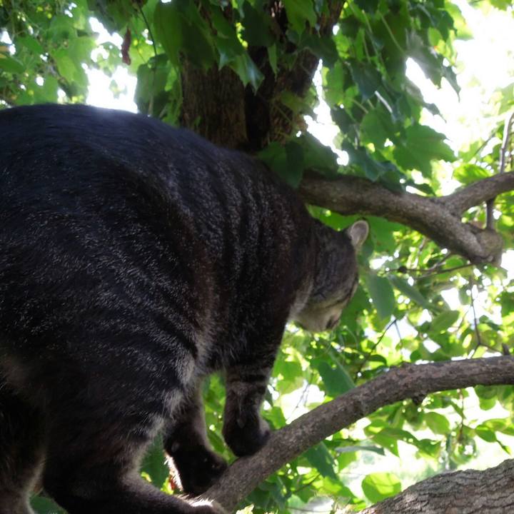 Cdee941e e2f8 441b 95f1 e2f55c655f1f