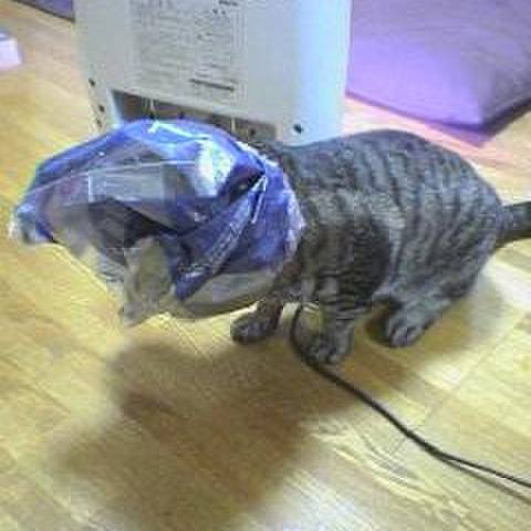 Cdee9b13 6098 4d94 80e9 e20674a41d3f