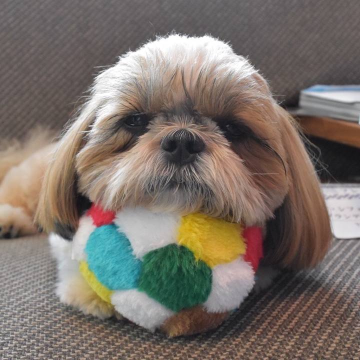 Cdefbbe2 2867 4196 8062 14e1db8ba291