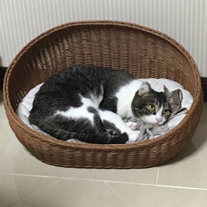 Cdf0006b 5b3b 4b8d ae95 cc7976f9c07a