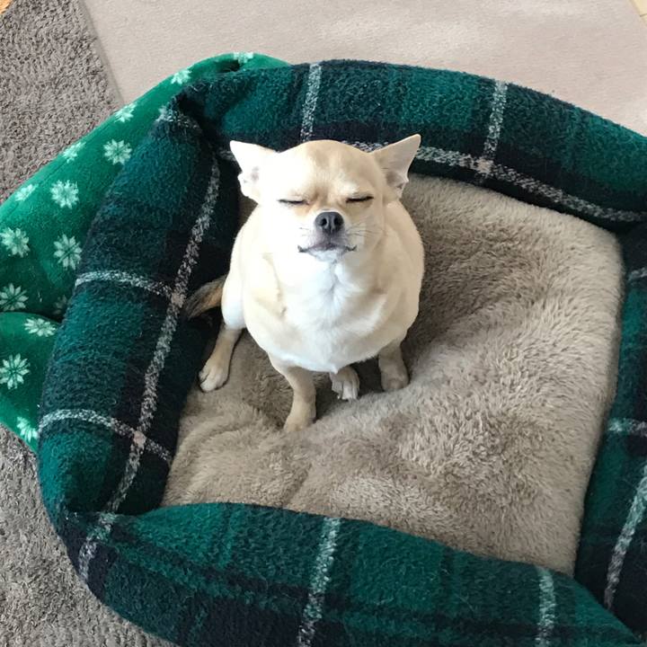 Cdf02046 04d9 4fb5 9b0e a9b2e09fbf2c