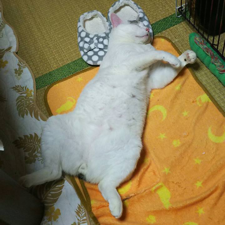 Cdf07b2a 9f11 4dec 9b00 8a4c44a27660