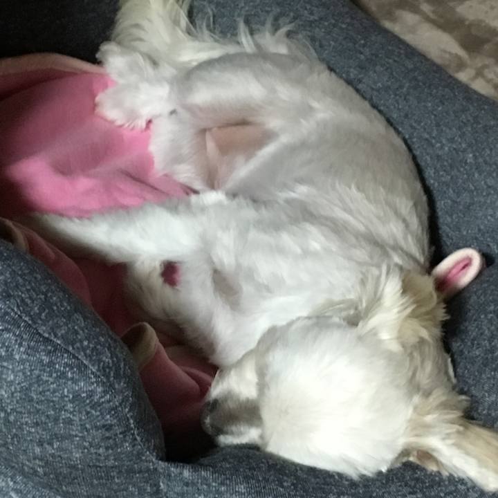 Cdf084e8 f8eb 4ef6 aa1b 6a70f4b683b2