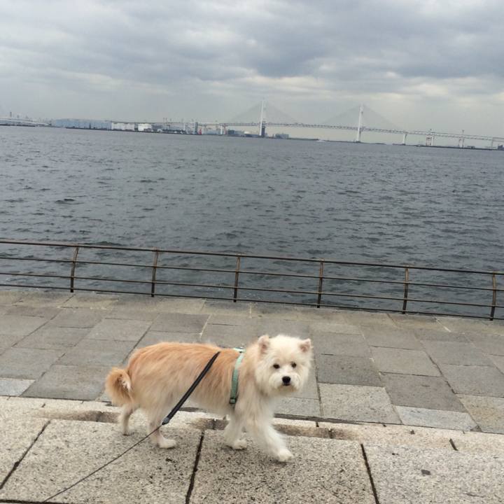 Cdf13a06 a0f5 4c80 b571 f36b8763e517