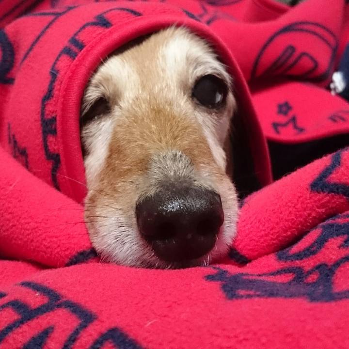 Cdf2382b f881 483d 9a7f 2e639691024f