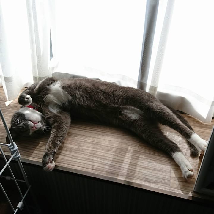 Cdf2e7d2 4484 4c1c addb 82ee8676476b