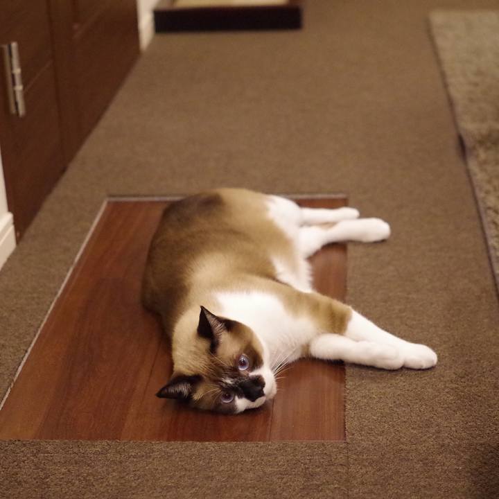 Cdf33852 89aa 4a67 a649 4b7f0d7f8ea7