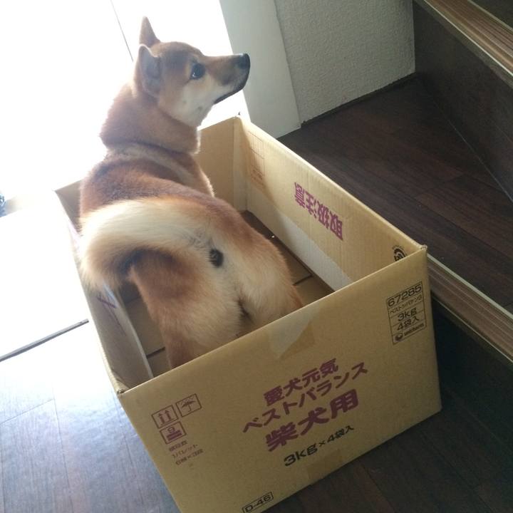 Cdf33d5f 05a4 4767 a225 946fb1a76ce8