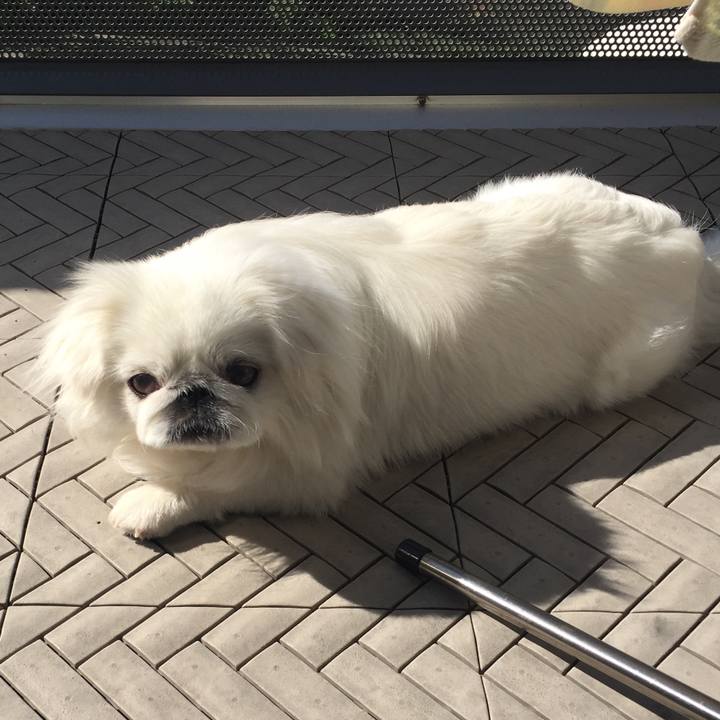 Cdf3eb29 3c9c 4b1c 9138 f2729aca6da8