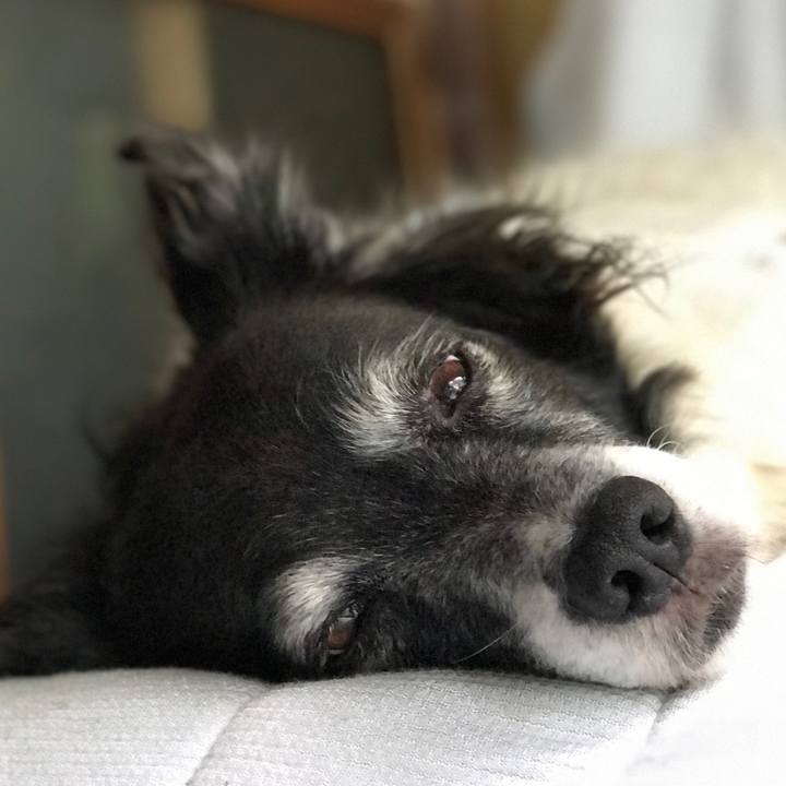 Cdf58fe8 eba8 400b a4eb db5a0b4bc799