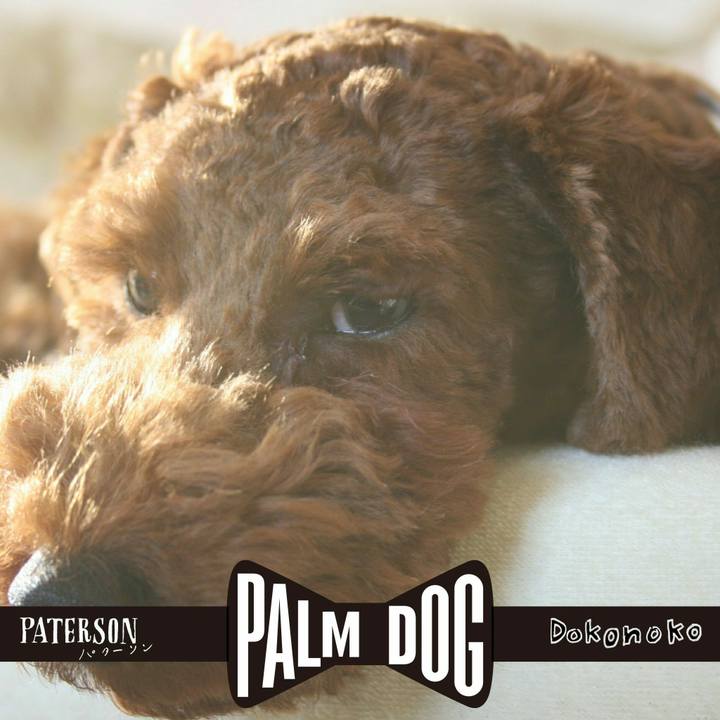 Cdf5903e cbb3 4c72 ab25 8b436b4e3bc1