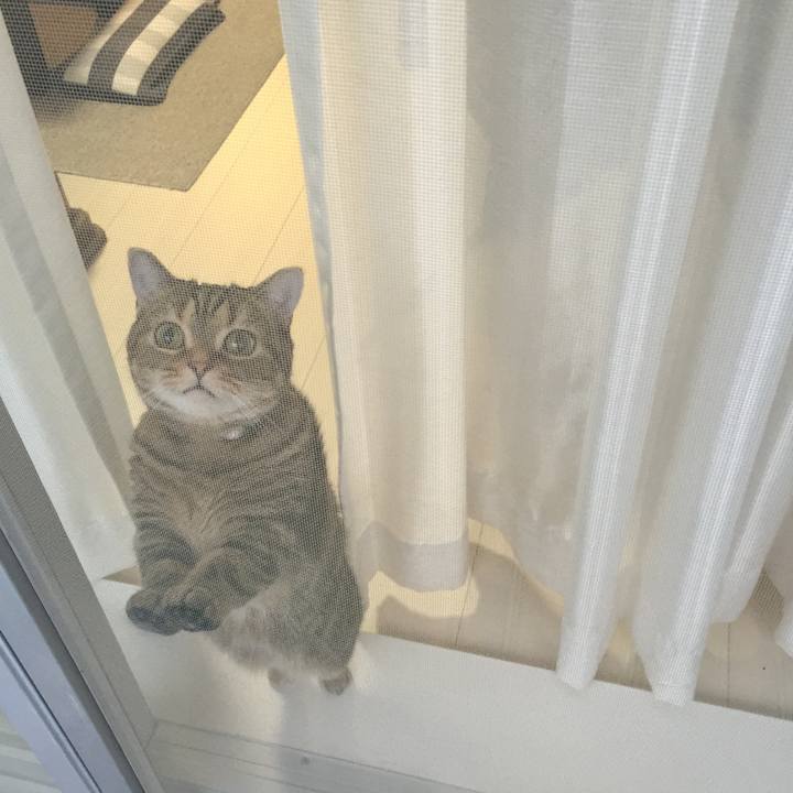 Cdf60cc7 6c2f 42b7 8af1 fc0f8a6142b5