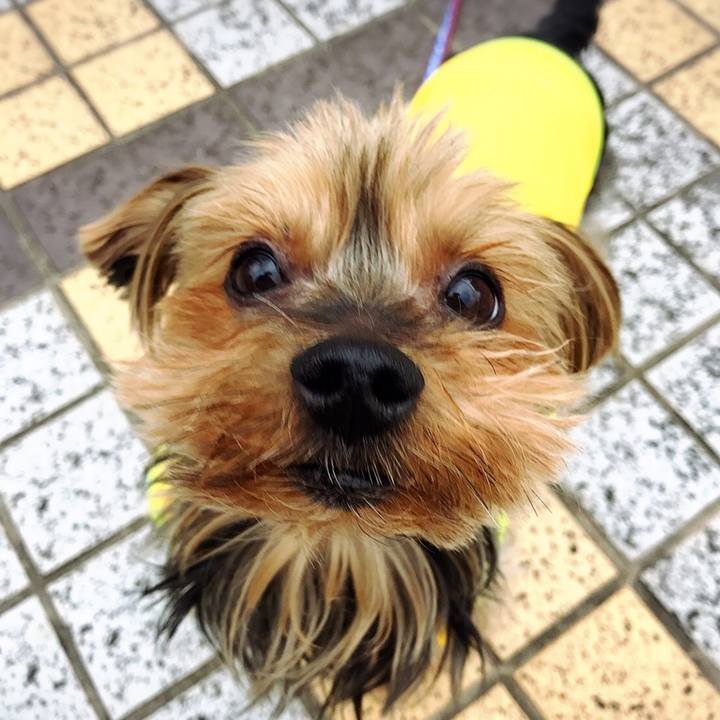 Cdf66a26 a94a 4127 bb6a dd652e51e316