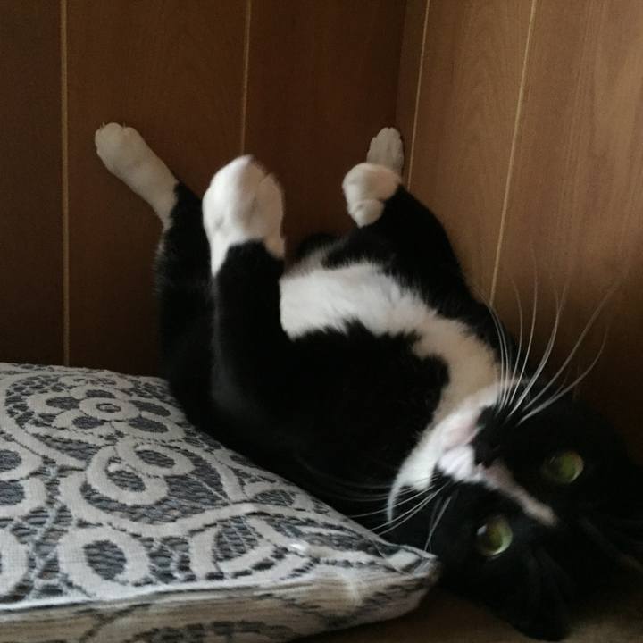 Cdf701cc 36ba 43e1 9a5d 903cc2e2e1c3