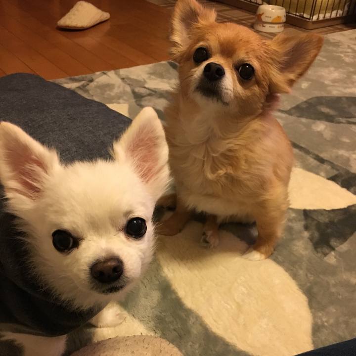 Cdf7a125 862a 4b6f 88b7 1cc9e769cf58