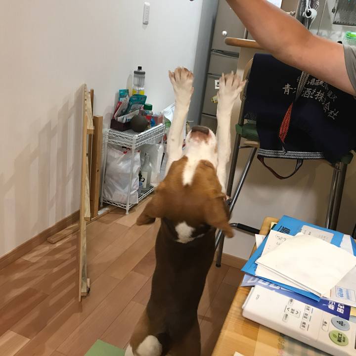 Cdf8ae1a 2b65 4dcb 8b93 64c93d04fb63