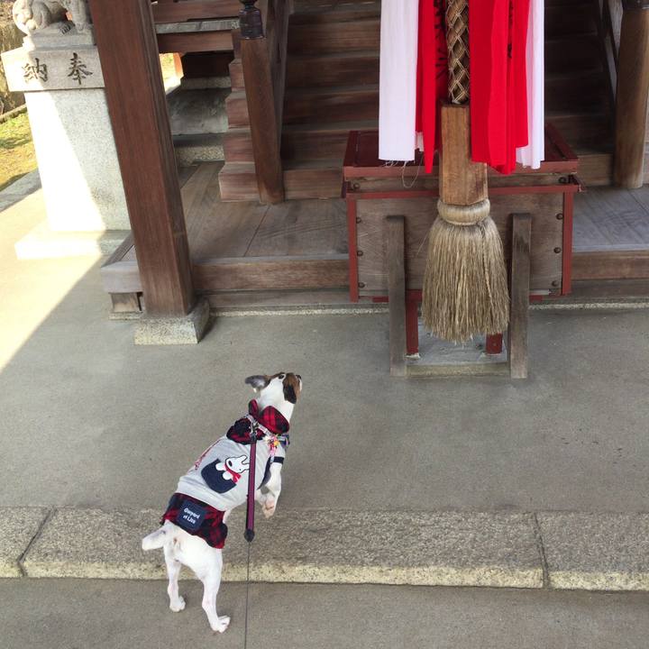 Cdf91baf a920 48c6 8d7b fa84a4806653