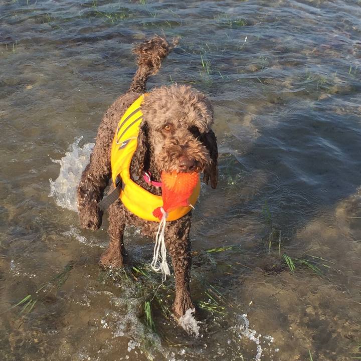 Cdf93756 6198 4a69 afbc 81f5461d1739