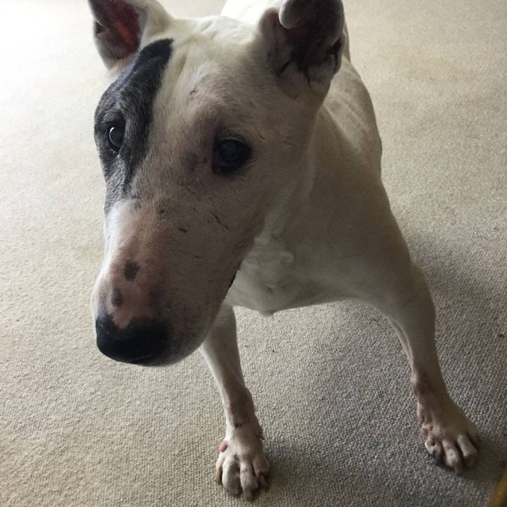 Cdf95a39 ebe3 487e 92af a0cccf9167de