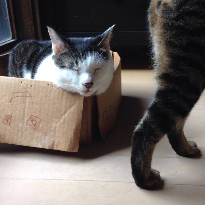 Cdf96c73 67f4 4e10 ae49 e70d1a4197a5