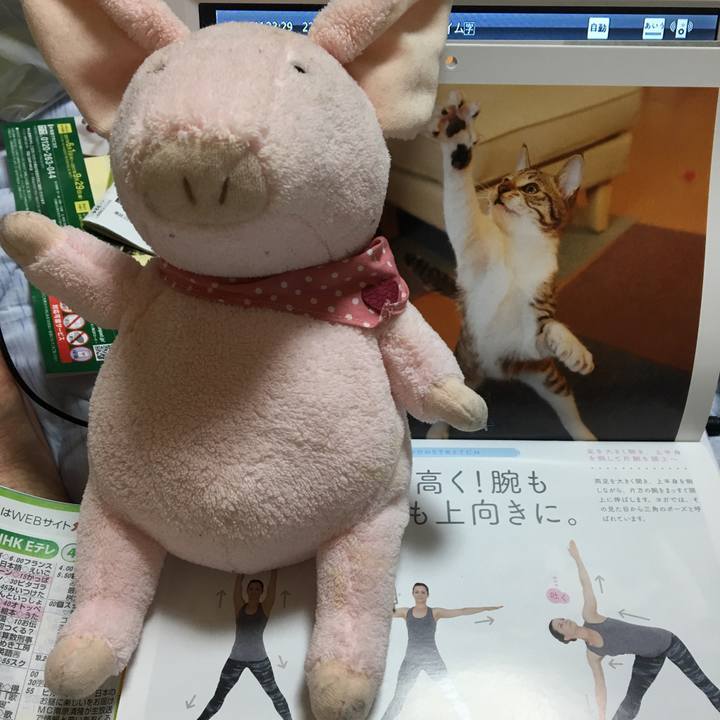 Cdf9a31d c07e 4766 abc2 6e3acd6874ea