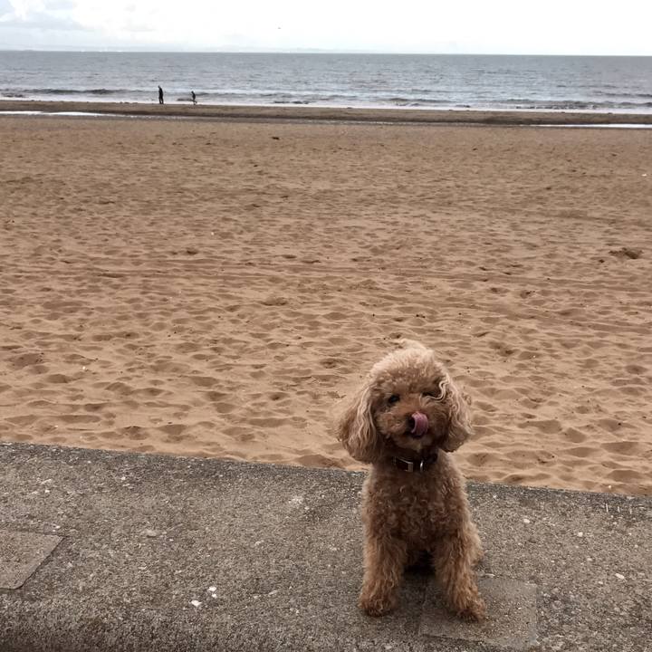 Cdf9e04b 609f 4051 9512 384a8f149f7b