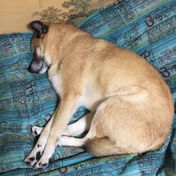 Cdfae2a6 9b47 43c1 8744 5fdaa3785d09