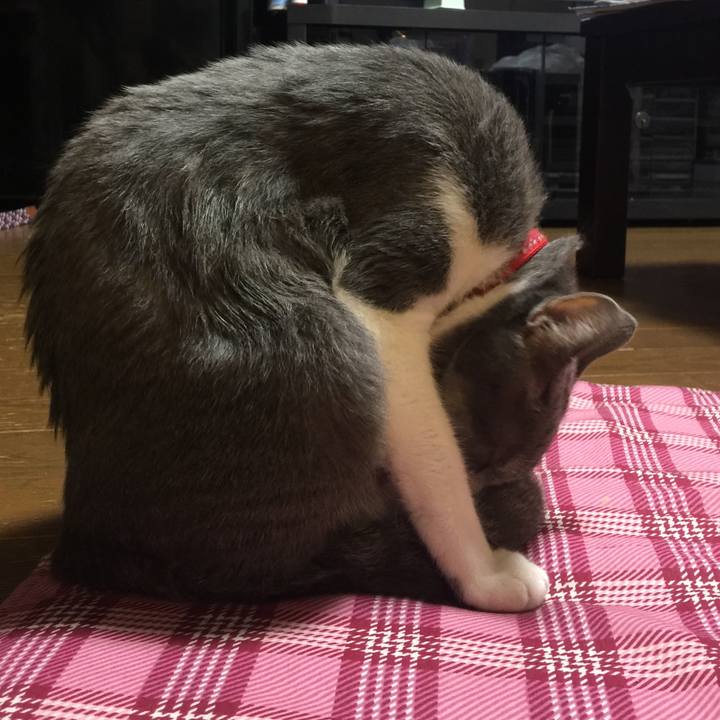 Cdfbbb98 9eea 4b11 a948 cd81f1f9b65b