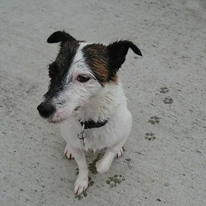 Cdfbe42c 5f21 4757 87ea d8dd3b7db216