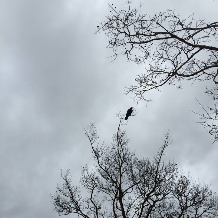 Cdfc8ebf 799b 4df3 9f91 23b6522f191b