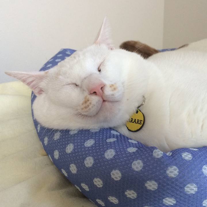 Cdfcd929 fd17 4bf6 9103 64c925f8a1bd