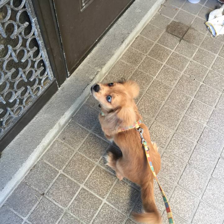 Cdfd1dd2 13e6 4c68 a64c 8f77d9ef082c