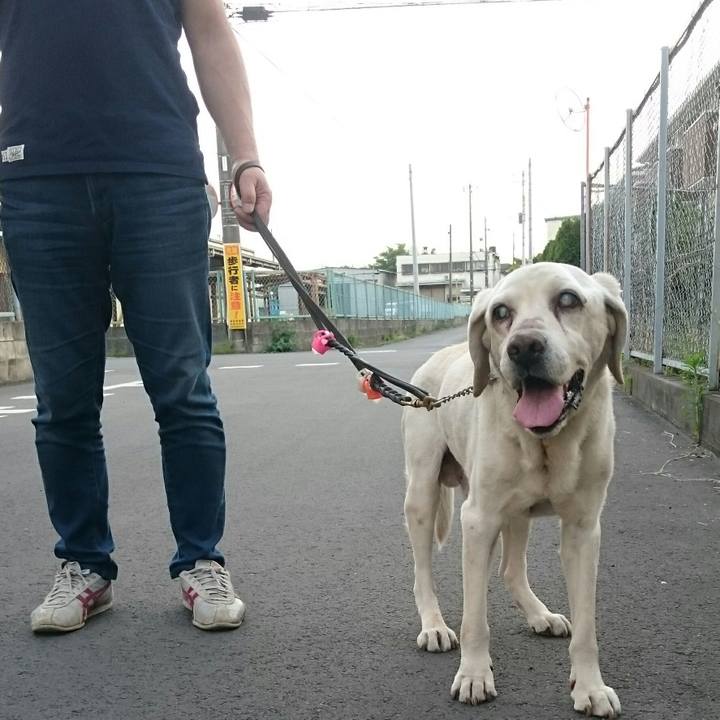 Cdfd9a26 6395 4809 b289 a341cbf074dc