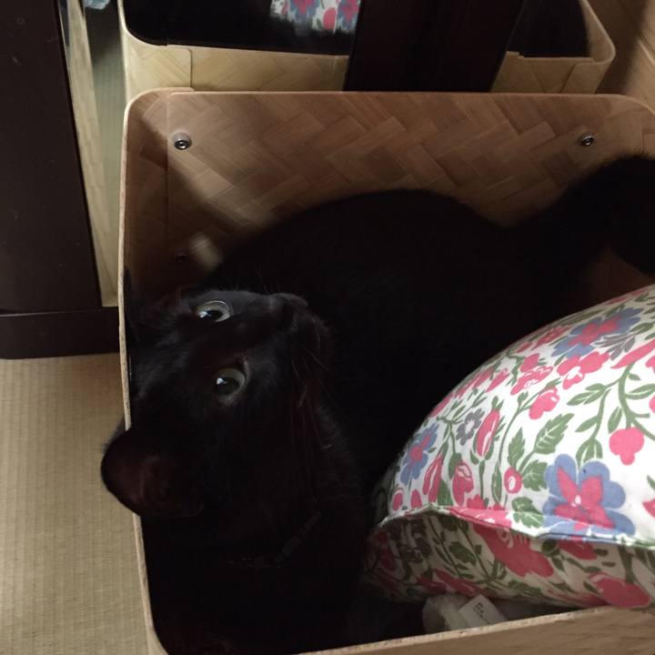 Cdfd9b2e b423 4ed1 b718 5116487990c6