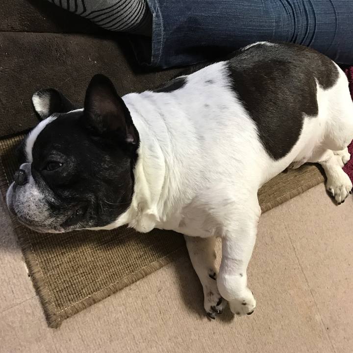 Cdfe522a 26bf 4c27 b70d a9249fb7c1c1