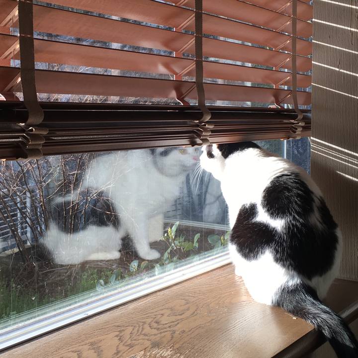 Cdfec533 0c1d 4b64 9611 59589ea62536