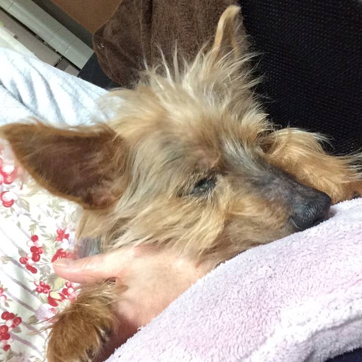 Cdffd7d2 9d24 493f b187 9d728d210818