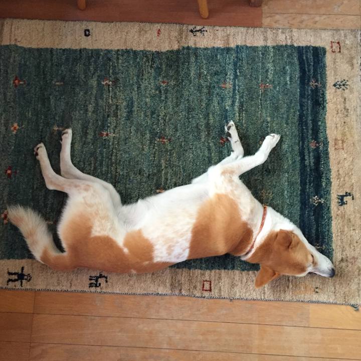 Cdffdae4 345a 4493 b187 fc206e1e4842