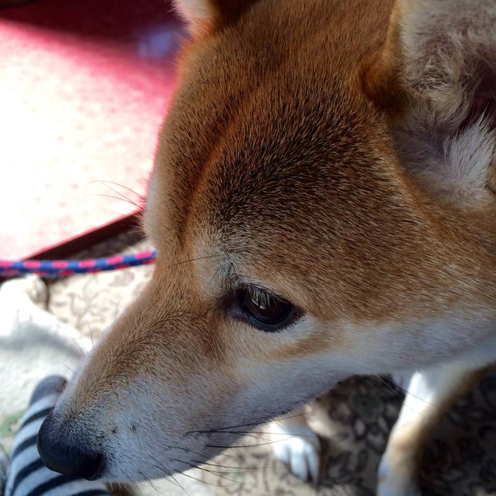 Cdfff6d0 55c2 45c5 a881 2228e0612795